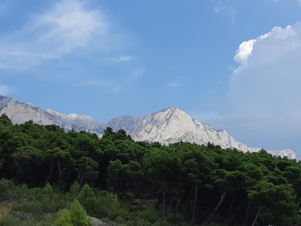 Villa Astra Brela Kültér fotó